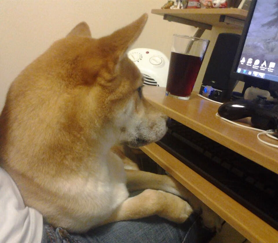 塞内加尔男足首次晋级奥运会四分之一决赛，塞内加尔国脚