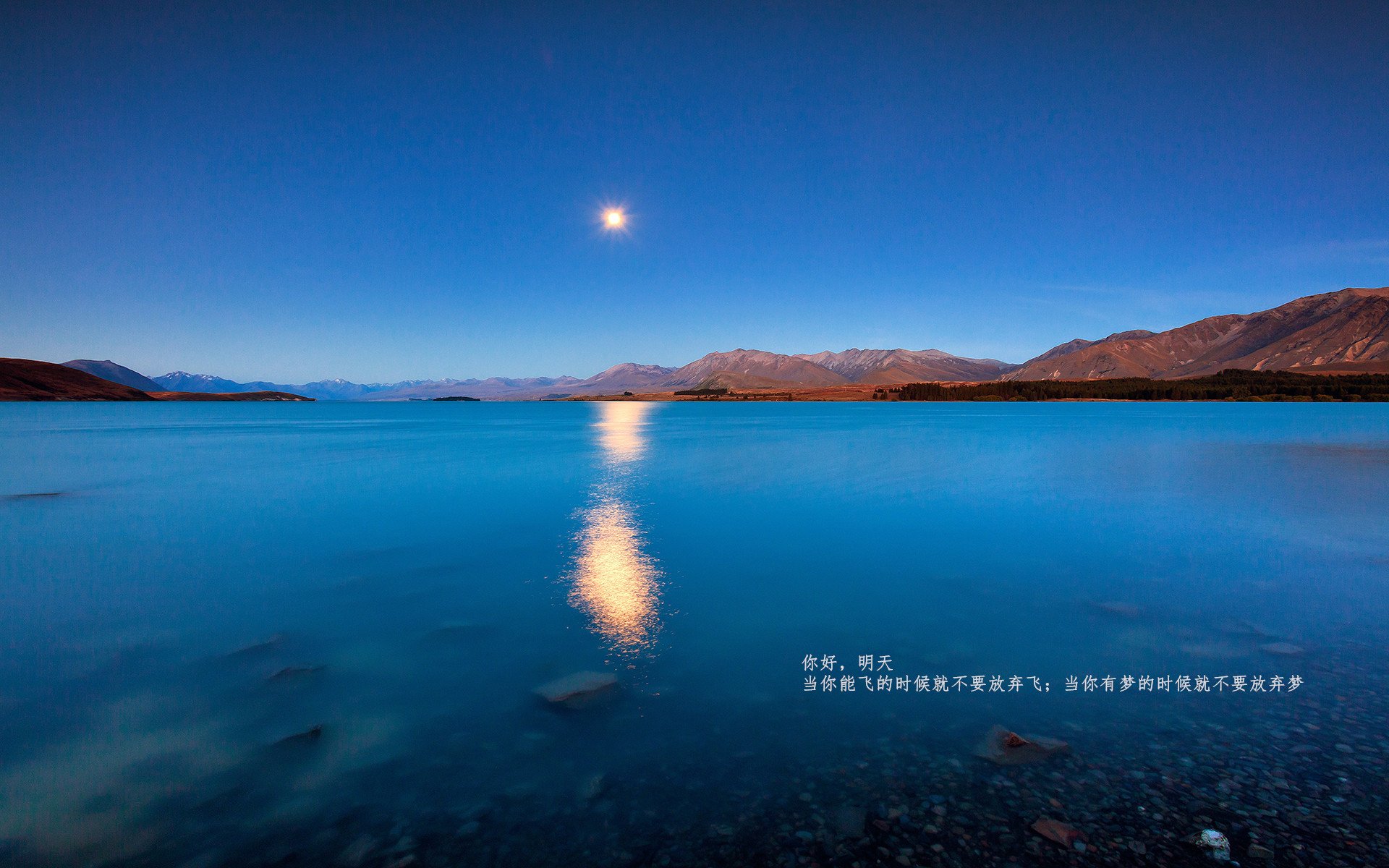 赛段策略揭秘：如何在短暂的赛段中占尽先机，比赛中段