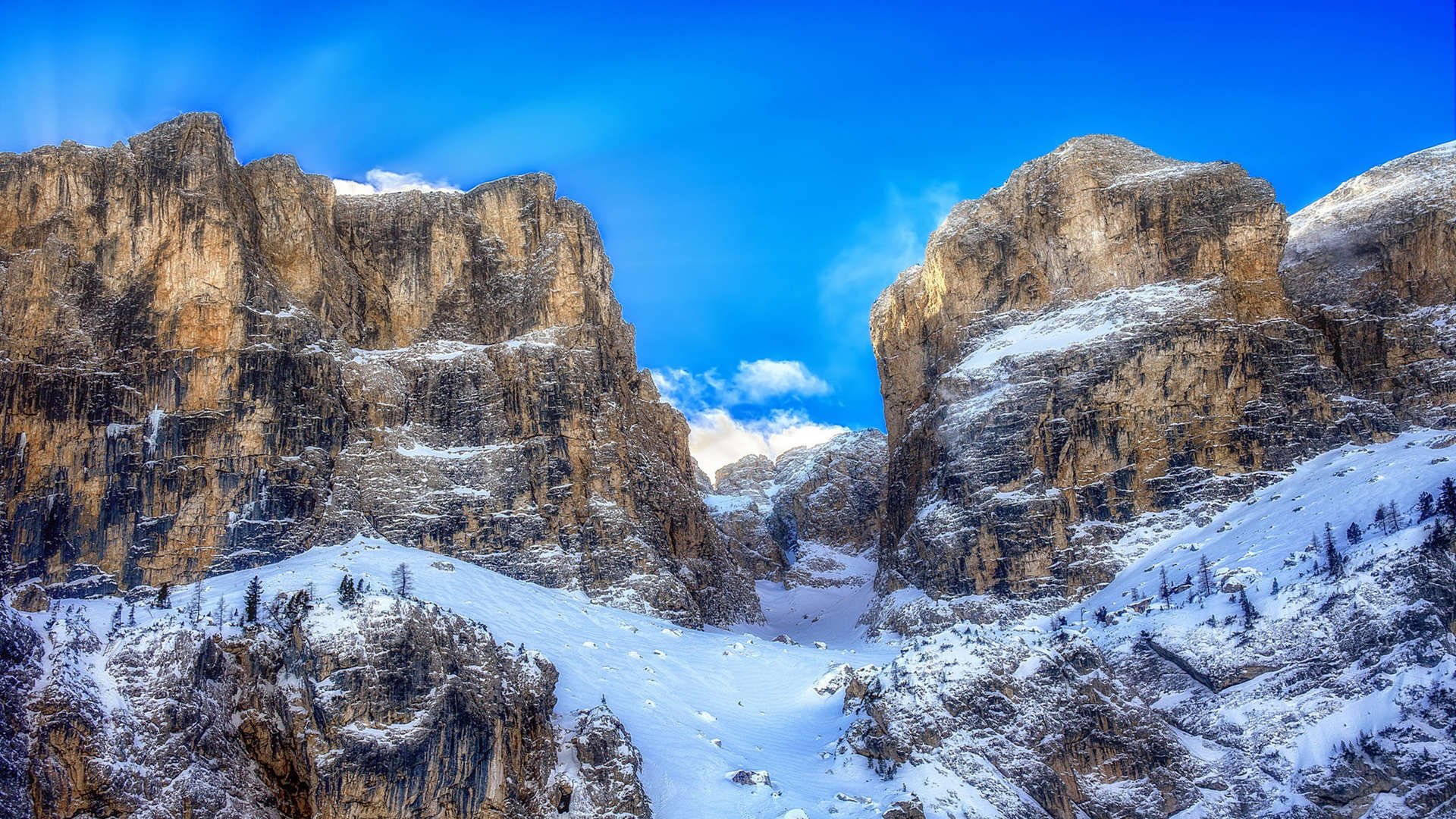 香港篮球联盟举办国际邀请赛，交流提升，香港篮球联赛得分王