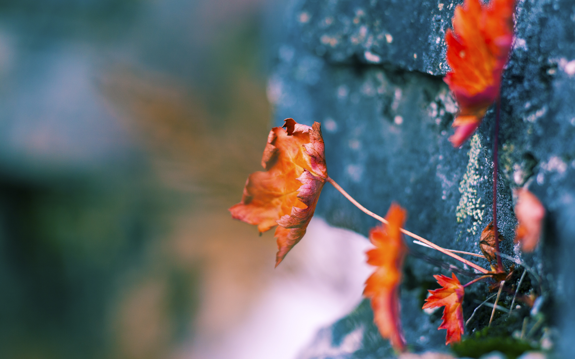 香肠派对“吃鸡欢乐季”，新玩法拉开序幕，香肠派对吃鸡长什么样
