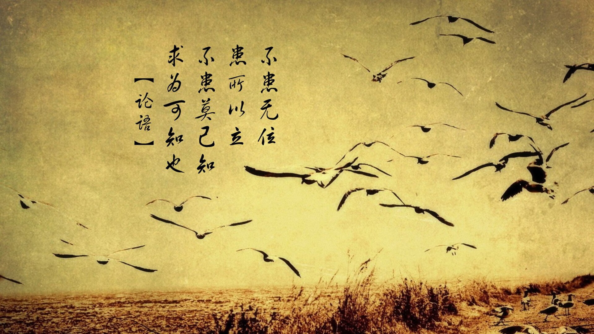 体育球队多名球员入选国家队，中国体育国家队队员