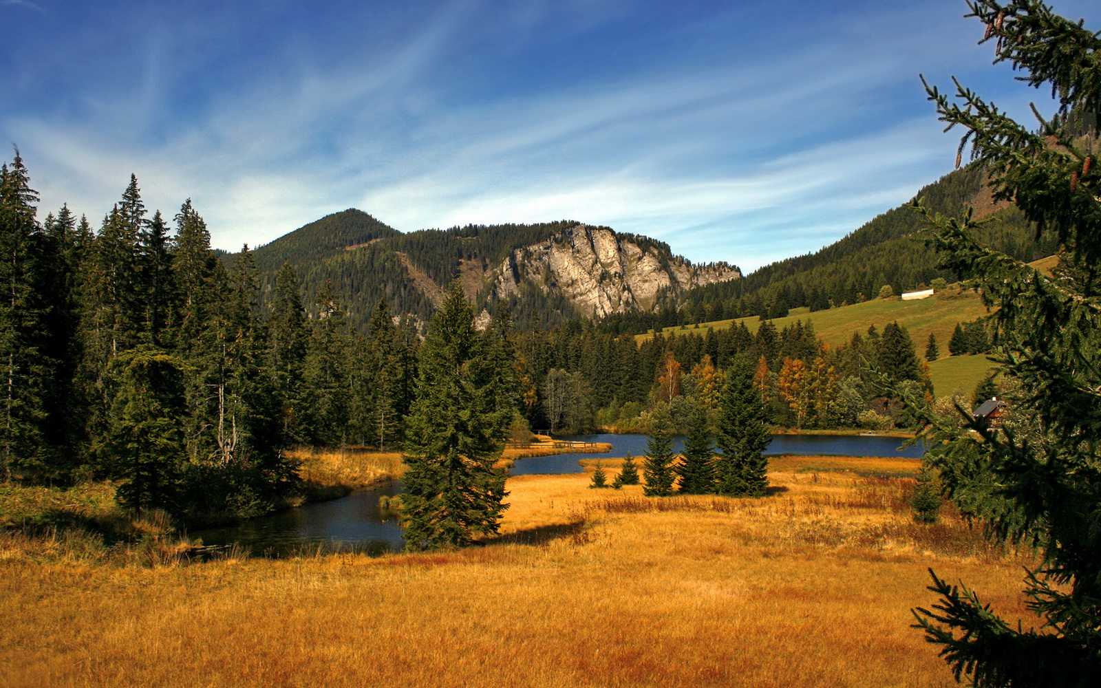 博洛尼亚主场告捷,提升士气备战下轮,博洛尼亚展