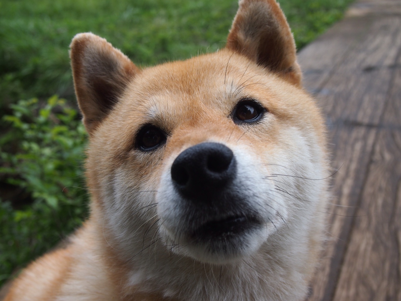巴萨在欧洲超级杯中击败对手，夺得第六座欧洲超级杯奖杯，巴萨欧洲冠军杯次数