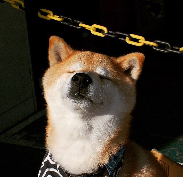 快船球队球队内外线配合更加流畅，快船内线有谁