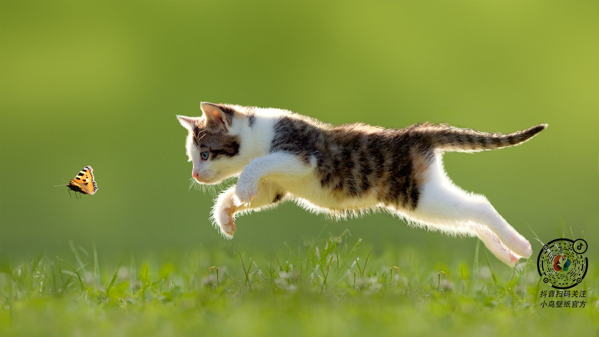 比尔低迷奇才不敌猛龙，比尔dub