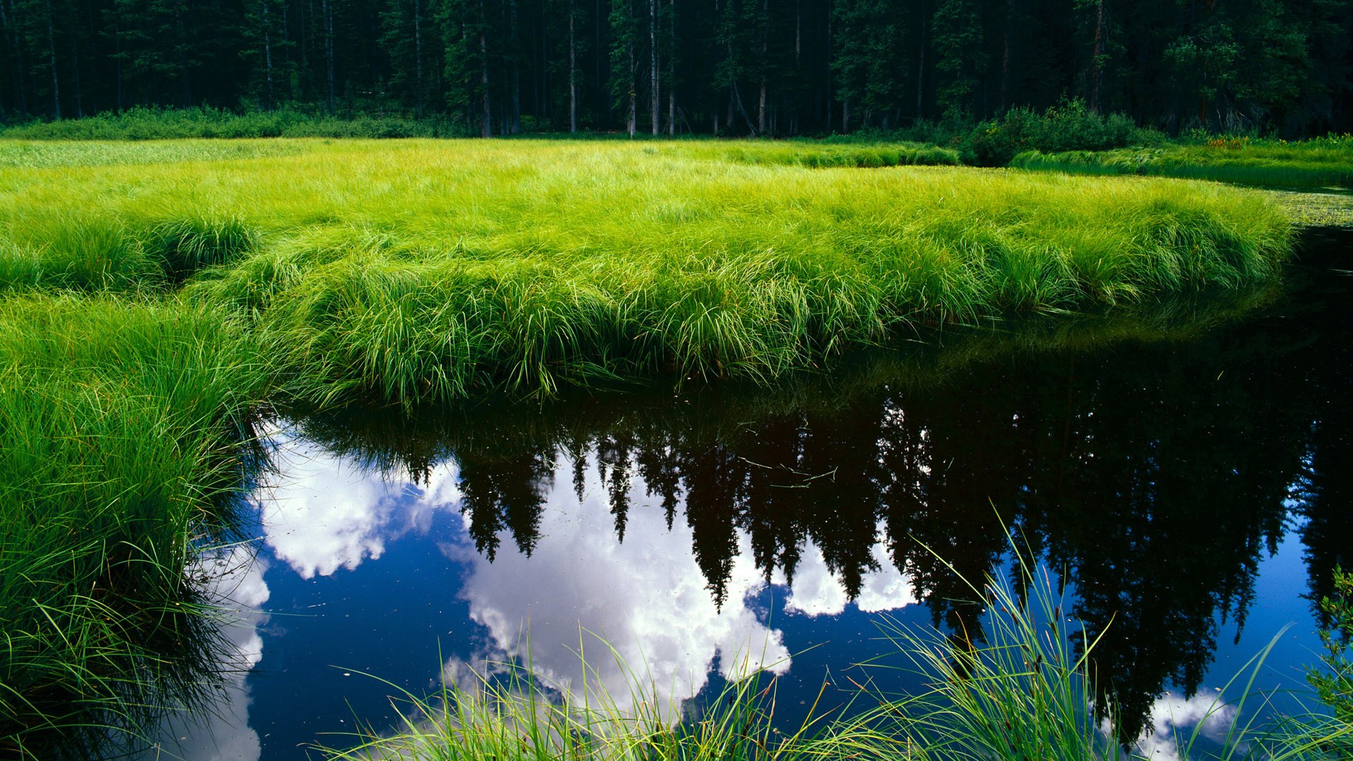 球队是否应为球员设立文化理解导师，球队文化是什么意思