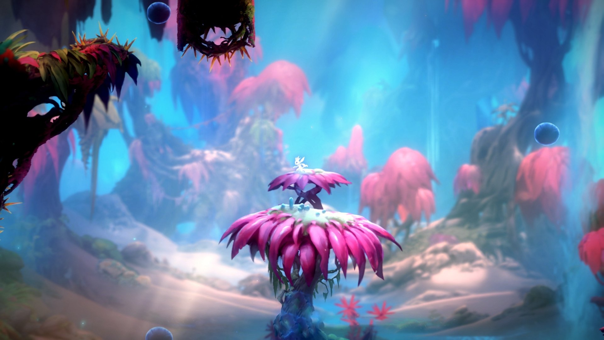 球队是否应发布年度社会责任报告，球队规定