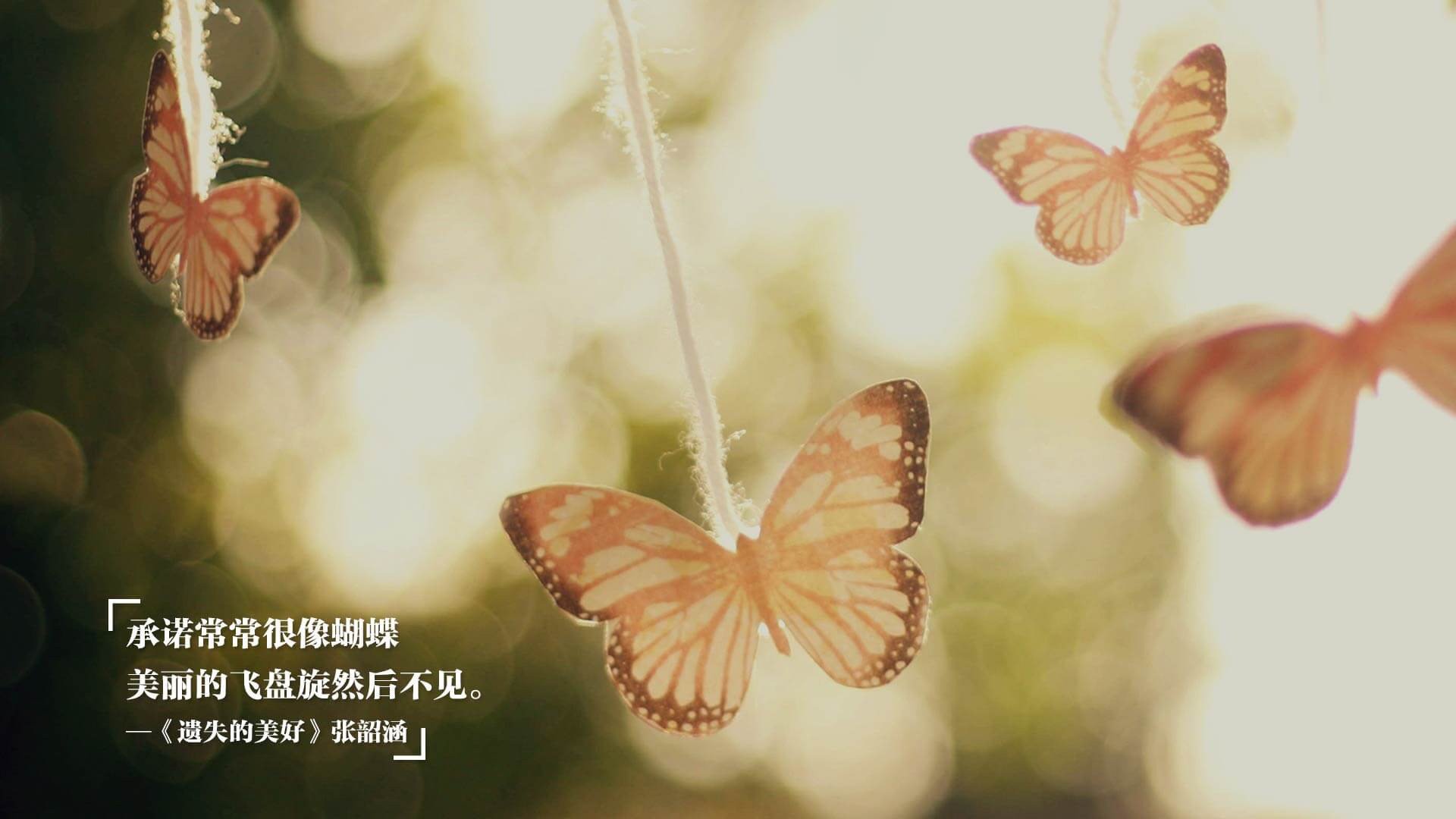 罗莎在射箭世界杯上海站女子复合弓个人赛中获得第四名，罗莎 射箭