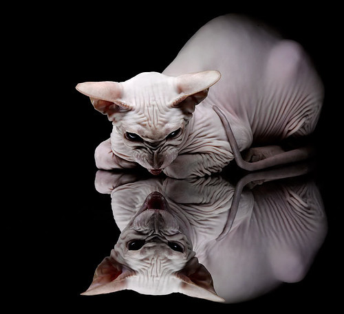 雷丁中前场衔接顺畅，皇家军团盼摆脱泥潭，雷丁i1