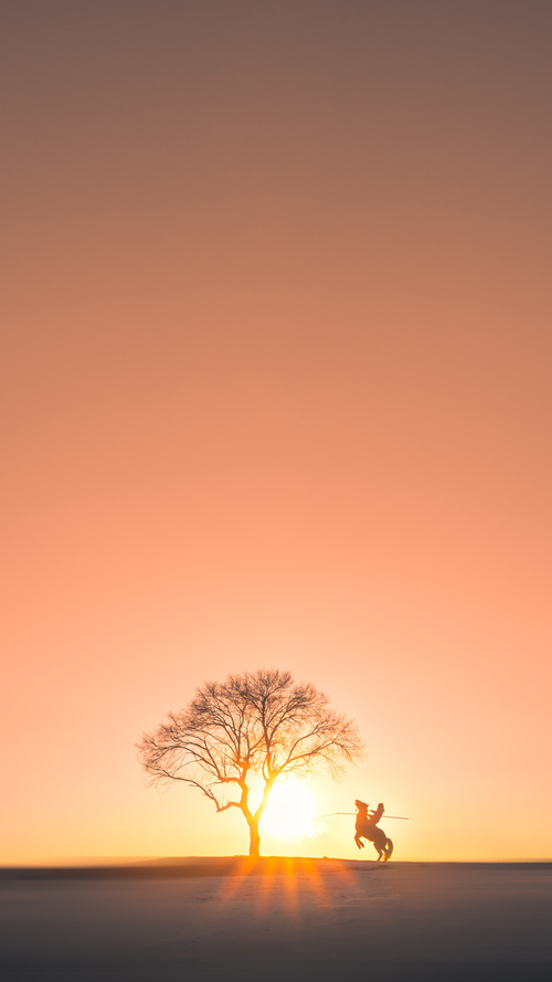 中超球队场均射门转化率分析,足球射门进球率
