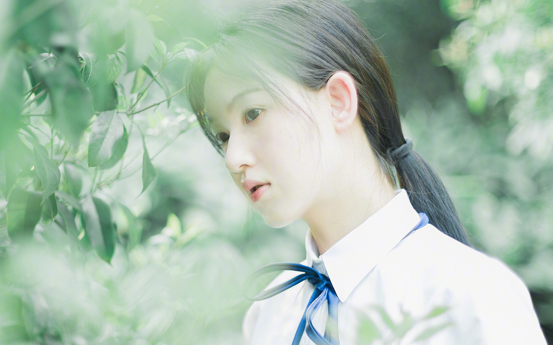 体育赛事志愿者服务质量提升研究，体育赛事志愿者工作内容