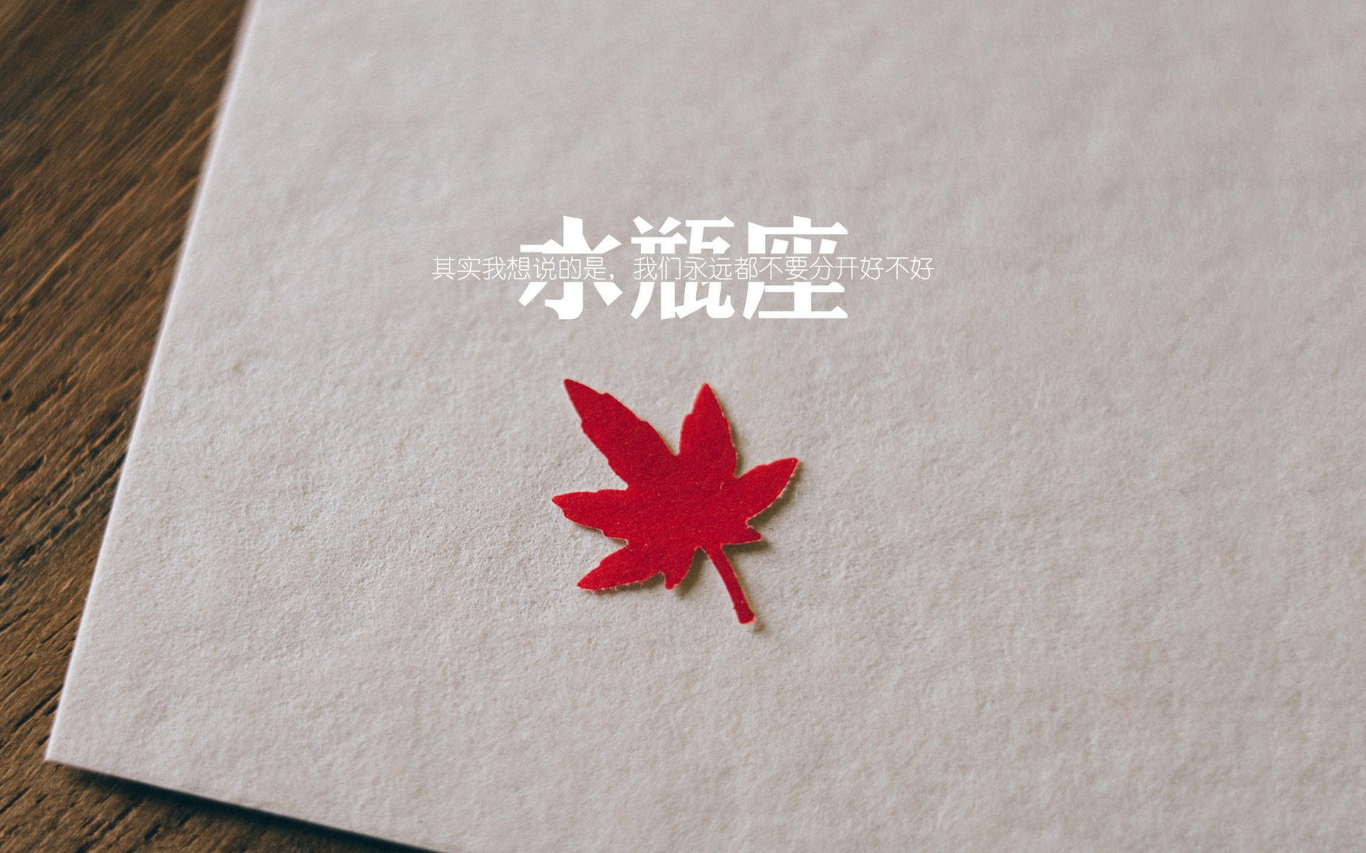 新秀崛起：本赛季最耀眼的潜力股球员报道，新秀崛起中场