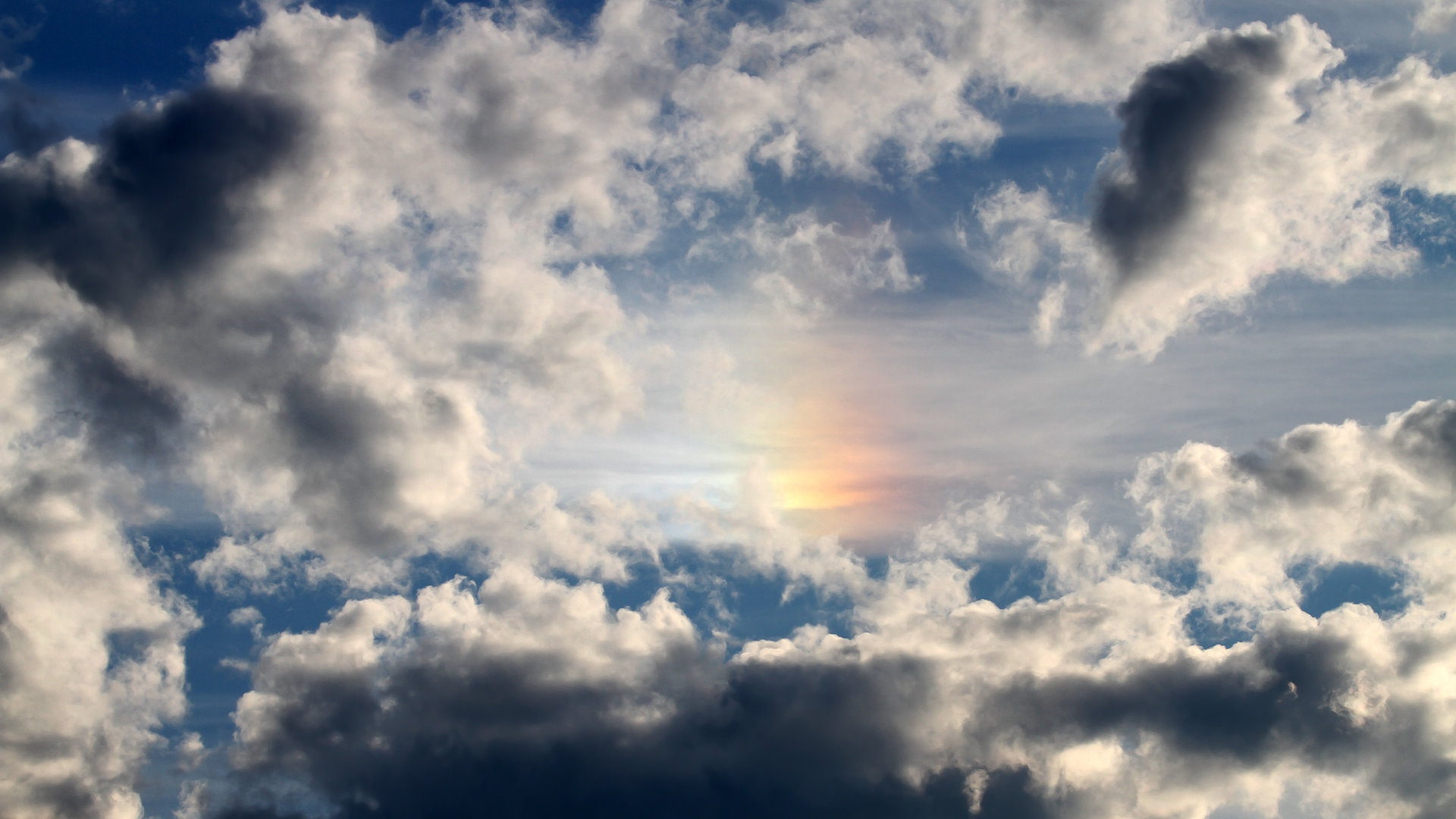 篮球专项技能训练标准体系建设，篮球专项训练方法和手段