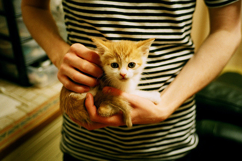 西甲裁判引入语义纠错模块减少多语种对话误判率，中甲裁判争议判罚引冲突