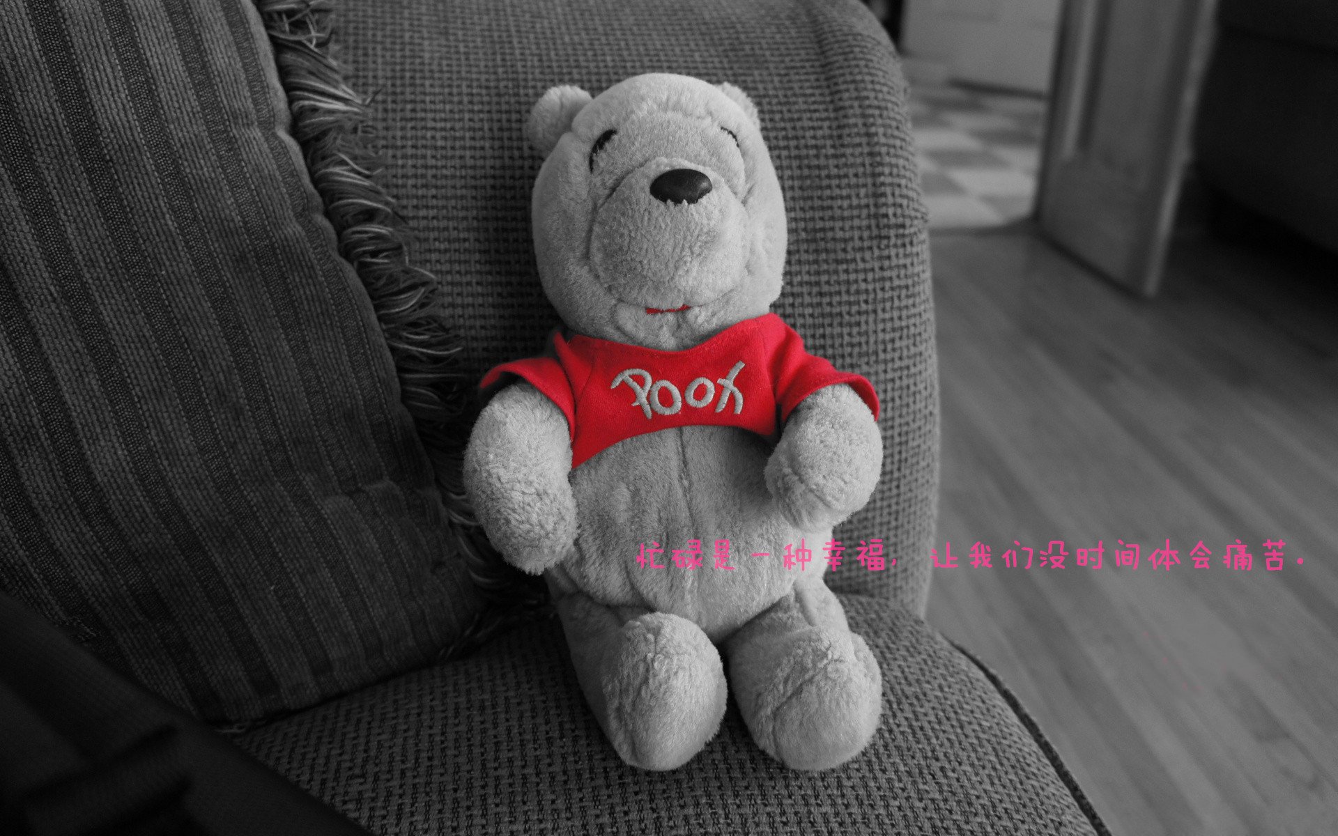 “健力运动：高新体育中心赛场见证力量与毅力的极限较量”