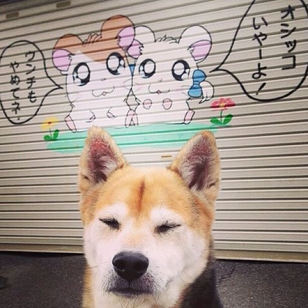 中国女篮全员健康备战 亚运目标直指冠军，中国女篮亚运会成绩