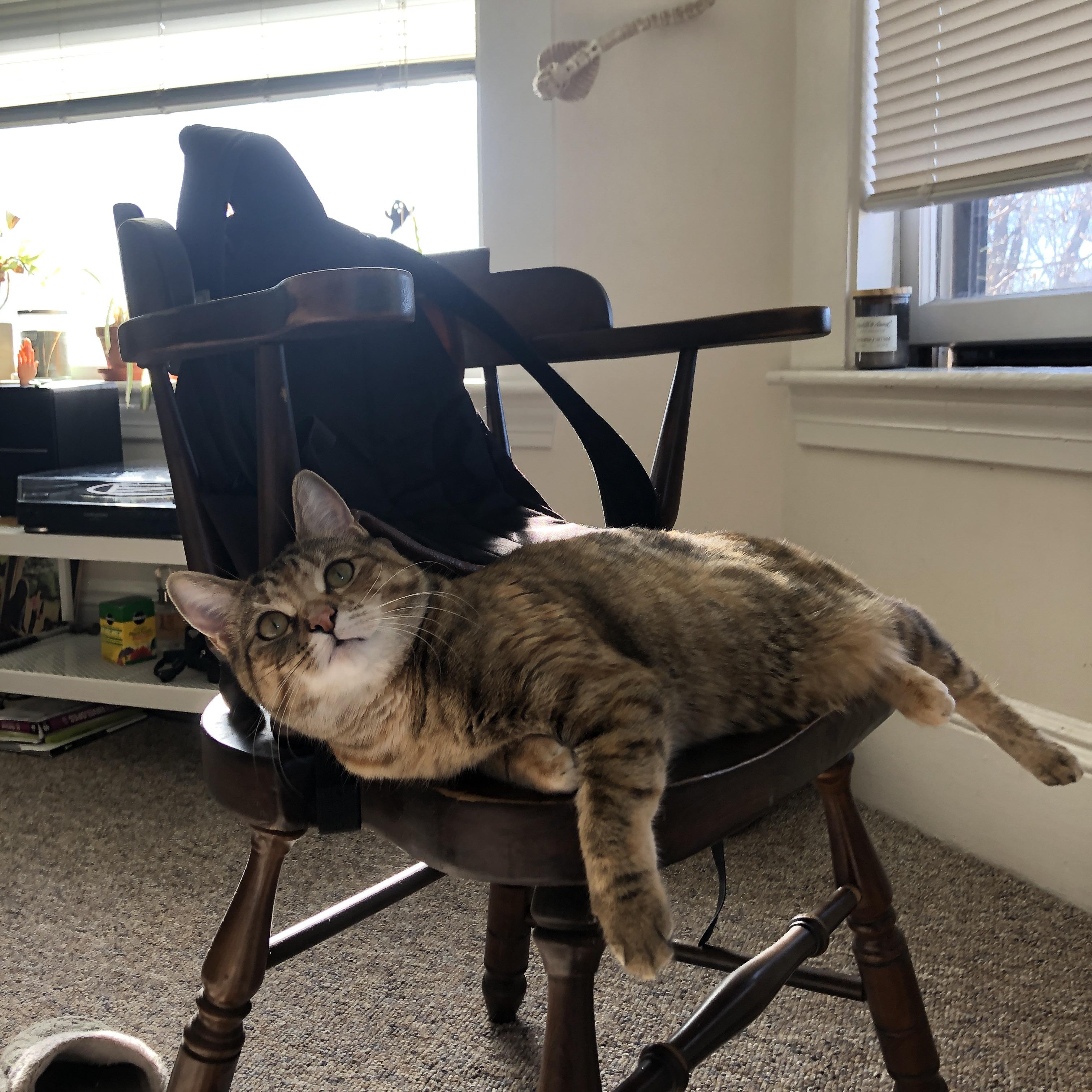 国家队选拔机制缺少透明公正性，国家队选拔机制缺少透明公正性的原因