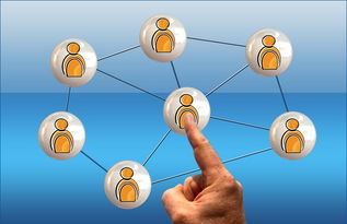 高校电竞联赛冠军诞生 战术与团队缺一不可，高校电竞联盟挑战赛全国总决赛