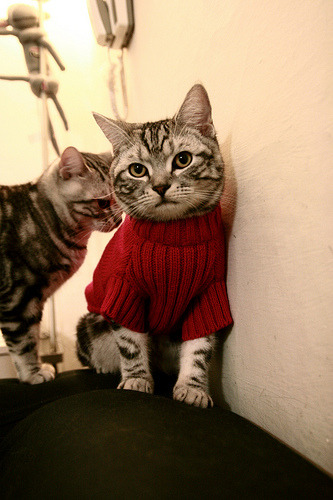 塞尔维亚男篮在欧洲预赛中展现实力，未来值得期待，塞尔维亚男篮阵容2021